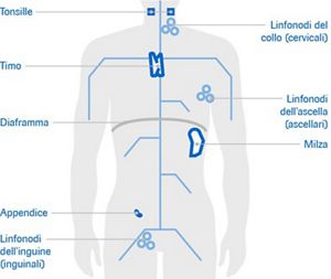 Linfoma A Grandi Cellule B Del Mediastino Si Guarisce
